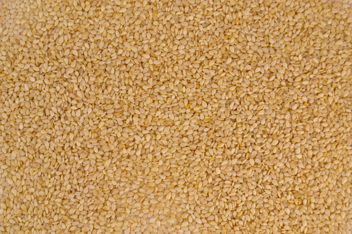 Organic Sesame Seeds 10g