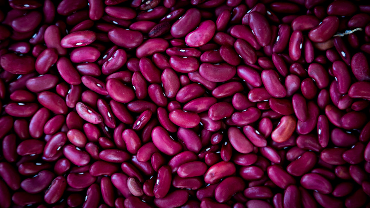 Organic Dried Red Kidney Beans 100g